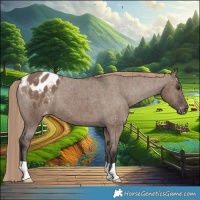 Horse Color:Liver Red Dun Appaloosa Brindle
