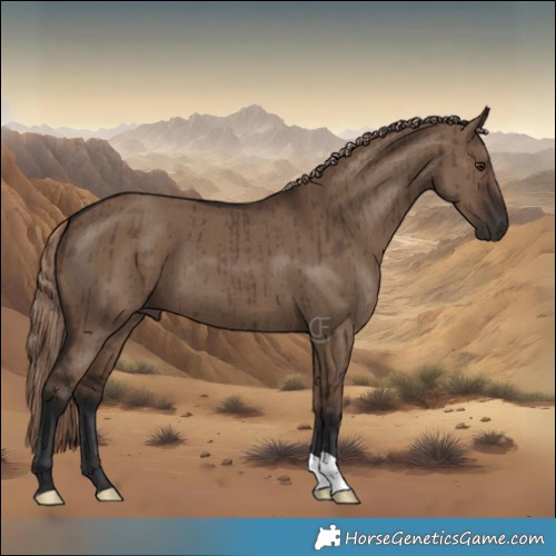 Horse Color:Liver Red Dun Brindle 