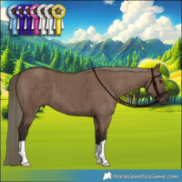 Horse Color:Liver Red Dun Brindle 