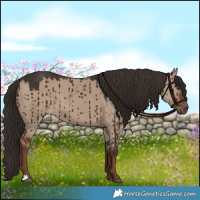 Horse Color:Liver Red Dun Brindle 