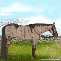 Horse Color:Liver Red Dun Brindle 