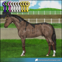Horse Color:Liver Red Dun Brindle 