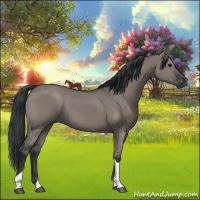 Horse Color:Grullo Tobiano 