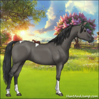 Horse Color:Grullo Tobiano 