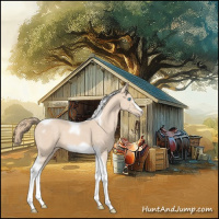 Horse Color:Perlino Tobiano Frame 