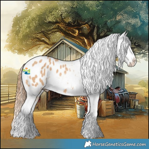 Horse Color:Red Dun Splash Tobiano Appaloosa 