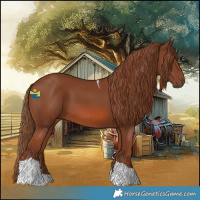 Horse Color:Chestnut Tobiano 