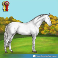 Horse Color:Gray Silver Brown Tobiano Rabicano 