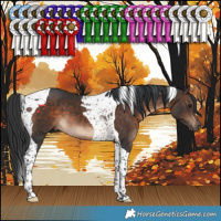 Horse Color:Brown Tobiano 