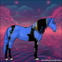 Horse Color:Watercolor Black Tobiano