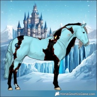 Horse Color:Watercolor Black Tobiano 