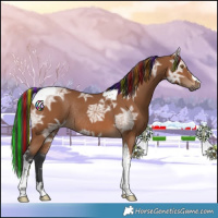 Horse Color:Painted Bay Ice Tobiano Rabicano 