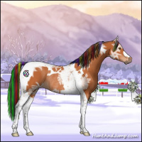 Horse Color:Painted Bay Ice Tobiano Rabicano