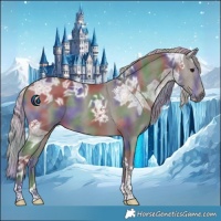 Horse Color:Nacre Silver Black Ice Tobiano 