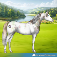 Horse Color:Chestnut Ice Splash Tobiano 