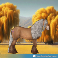 Horse Color:Gray Silver Sable Champagne 