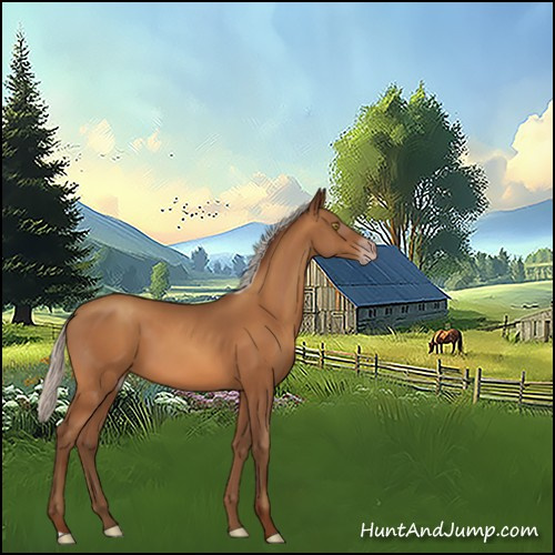 Horse Color:Gray Silver Sable Champagne 