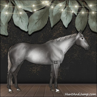 Horse Color:Gray Silver Black 