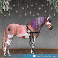 Horse Color:Painted Brown Splash