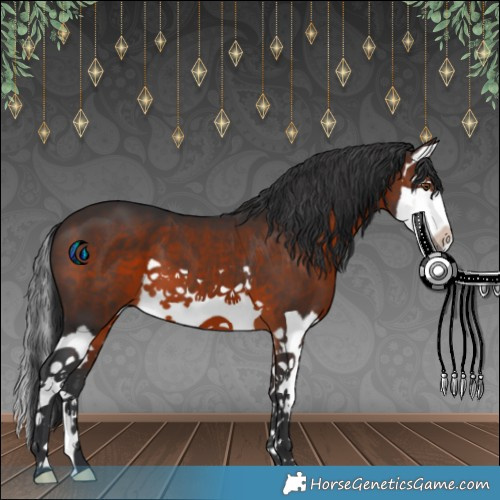 Horse Color:Brown Splash 