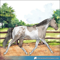 Horse Color:Liver Red Dun Tobiano Varnish 