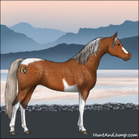 Horse Color:Silver Buckskin Tobiano 