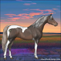 Horse Color:Silver Black Tobiano