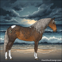 Horse Color:Silver Smoky Black Tobiano 