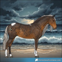 Horse Color:Silver Smoky Black Tobiano 