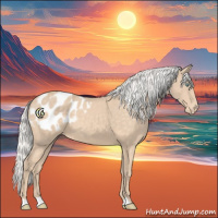 Horse Color:Silver Perlino Appaloosa