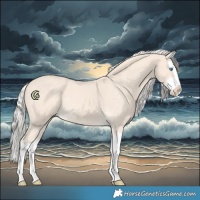 Horse Color:Cremello Splash 