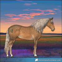 Horse Color:Chocolate Palomino 