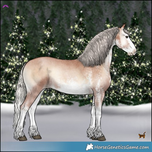 Horse Color:White Spotted Silver Brown Pearl Onyx Splash Rabicano 