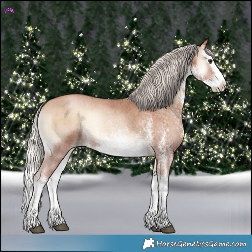 Horse Color:White Spotted Silver Brown Pearl Onyx Splash Rabicano 