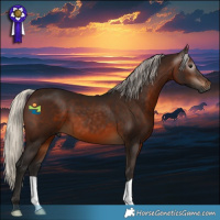 Horse Color:Gray Silver Brown 