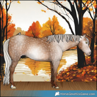 Horse Color:Gray Silver Sable Champagne 