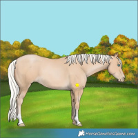 Horse Color:Silver Smoky Black Pearl 