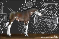 Horse Color:Brown Sabino 