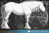 Horse Color:Brown Sabino  and Brown Sabino 