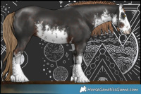 Horse Color:White Spotted Liver Chestnut 