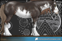 Horse Color:White Spotted Liver Chestnut