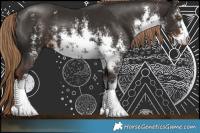 Horse Color:White Spotted Liver Chestnut Sabino 