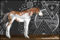 Horse Color:Brown Sabino Frame
