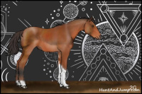 Horse Color:Bay Sabino Tobiano