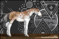 Horse Color:Brown Sabino