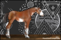 Horse Color:Bay Sabino Frame