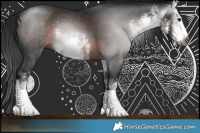 Horse Color:Gray White Spotted Bay Rabicano 