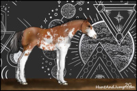 Horse Color:Bay Sabino 