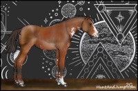 Horse Color:Brown Sabino 