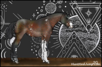 Horse Color:Brown Sabino 